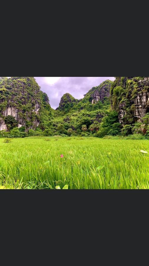 Tam Coc Scenery Homestay Van Lam Екстериор снимка